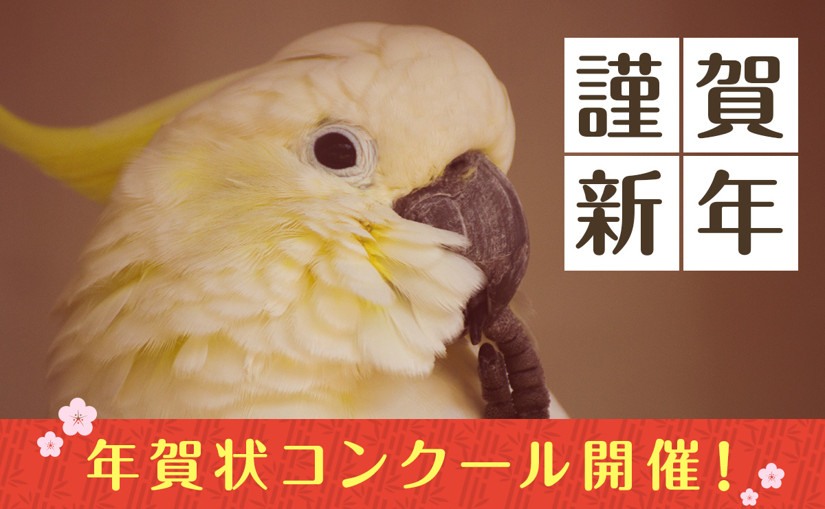 年賀状コンクール