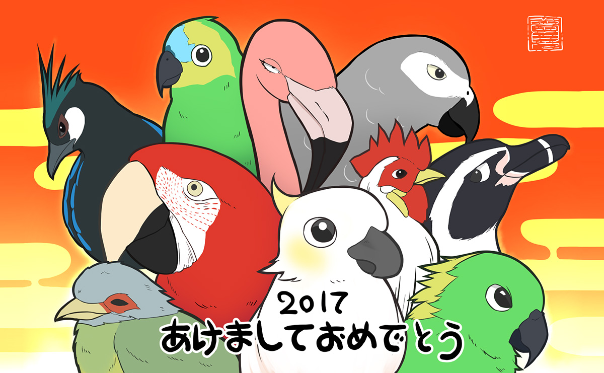 迎春2017年