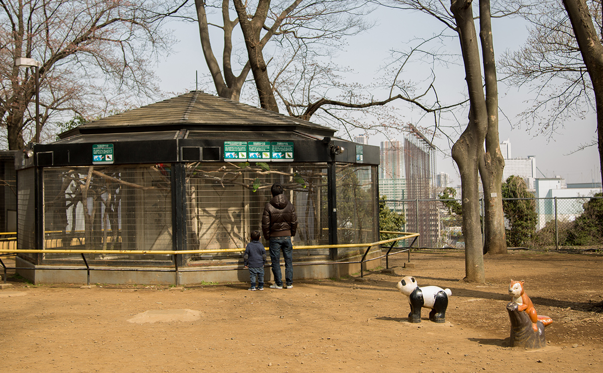 鳥類の展示が再開