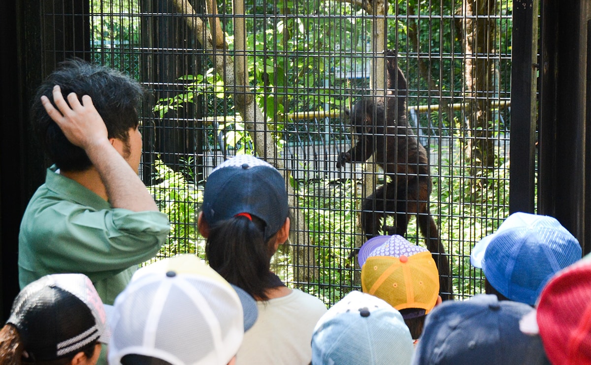 8月1日開催予定の「夏休み親子動物愛護教室」参加者募集！