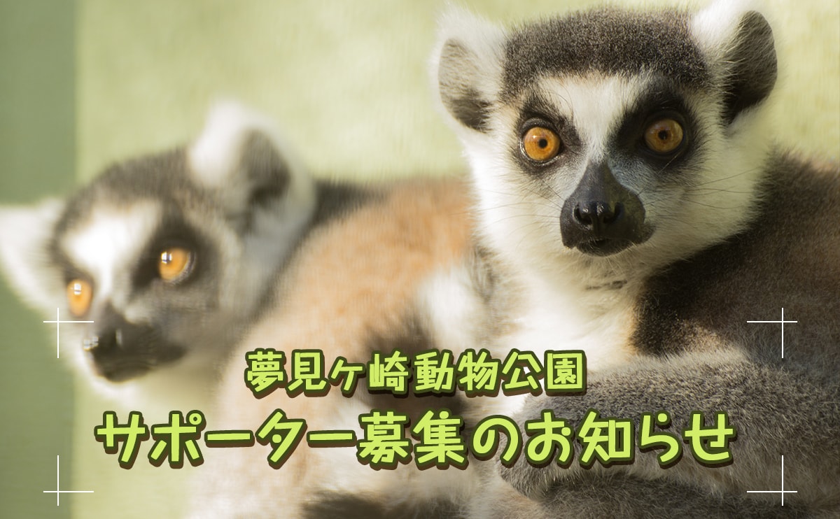 夢見ヶ崎動物公園サポーターを募集しています