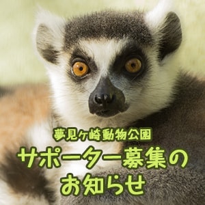 夢見ヶ崎動物公園サポーターを募集しています