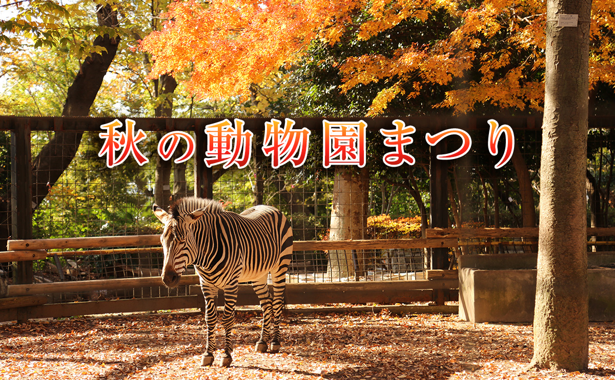 秋の動物園まつり