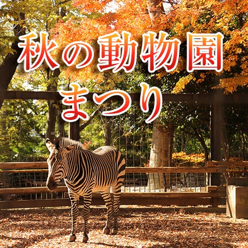 秋の動物園まつり