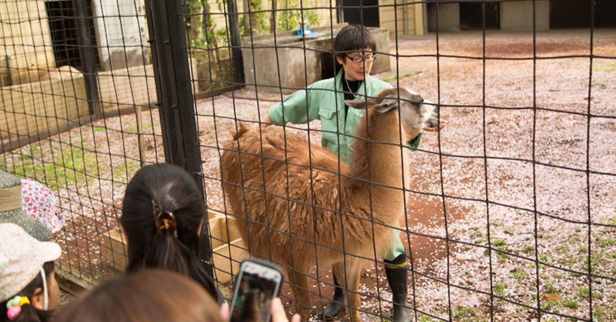 動物たちをもっと身近に！「飼育の日」4月22日に開催！