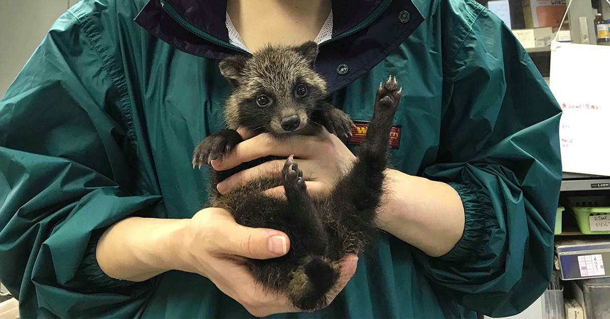 野生動物リハビリテーター第14期生が誕生しました