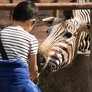 「秋の動物園まつり」10月8日(月祝)開催！