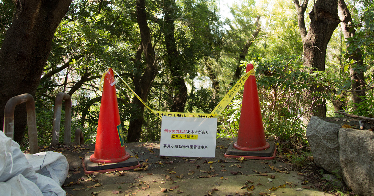 台風24号の被害状況を見てきました