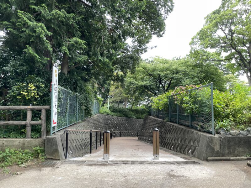とらさんのレポート